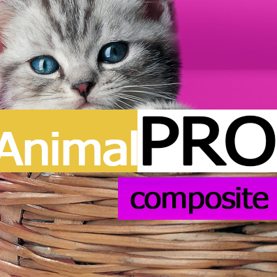 Товары для животных. Корма.(AnimalPRO). Профессиональный интернет магазин (рус. + англ.) (redsign.prozoo) - решение для Битрикс