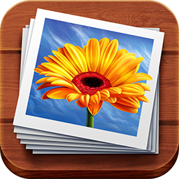 Адаптивная фотогалерея на Fancybox (artismedia.gallery) - решение для Битрикс