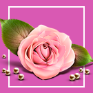 Florist: доставка цветов,подарков,магазин цветы на Старте  (webstudiosamovar.kodveri2) - решение для Битрикс