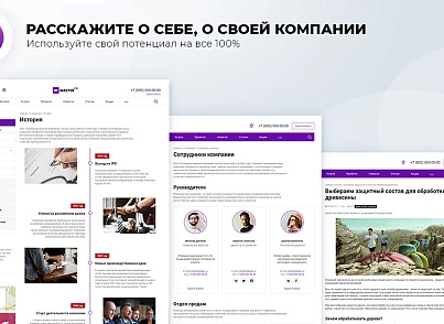 Master 2 в 1: корпоративный сайт + магазин (redsign.master) - решение для Битрикс