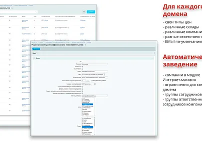 Ammina. Регионы (филиалы и представительства). Мультирегиональность на доменах и URL адресах (ammina.regions) - решение для Битрикс