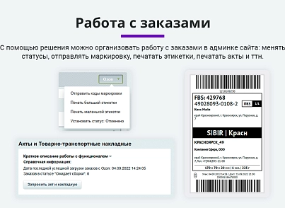 Интеграция с Ozon (Озон). Цены, остатки, заказы, статусы, акты (arturgolubev.ozon) - решение для Битрикс