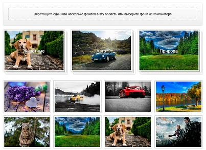 Фотоальбом – галерея с мультизагрузкой изображений cetacs (cetacs.photogallery) - решение для Битрикс