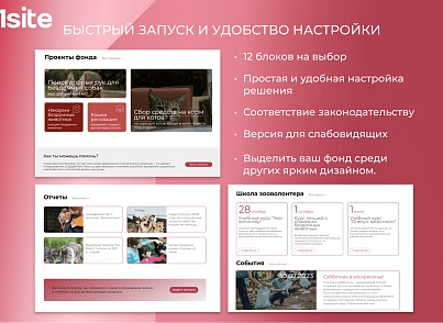 1Site.NKO - Сайт некоммерческой организации, благотворительного фонда (onesite.nko) - решение для Битрикс