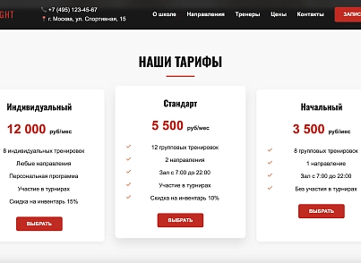 IronFight (dsst.ironfight) - решение для Битрикс