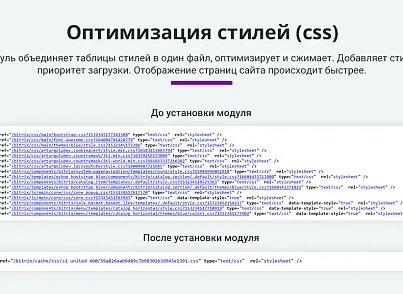 Ускорение загрузки сайта + оптимизация для Google PageSpeed (webp, js, css, картинки, изображения) (arturgolubev.cssinliner) - решение для Битрикс