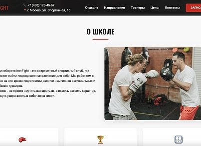 IronFight (dsst.ironfight) - решение для Битрикс