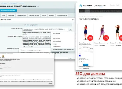 Ammina. Регионы (филиалы и представительства). Мультирегиональность на доменах и URL адресах (ammina.regions) - решение для Битрикс