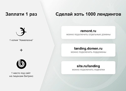 ХАМЕЛЕОН — 999 в 1. Безлимитный конструктор лендингов с корзиной и функциями для «автоворонок» (concept.hameleon) - решение для Битрикс