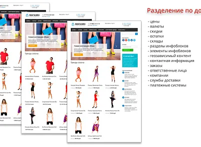 Ammina. Регионы (филиалы и представительства). Мультирегиональность на доменах и URL адресах (ammina.regions) - решение для Битрикс