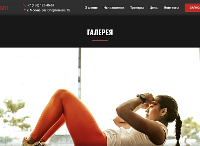 IronFight (dsst.ironfight) - решение для Битрикс