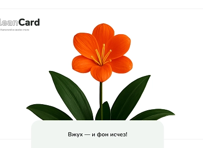 CleanCard — массовое автоудаление фона с изображений (mwi.cleancard) - решение для Битрикс