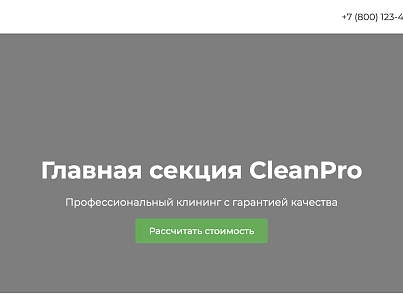 CleanPro (dsst.cleanpro) - решение для Битрикс