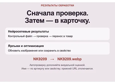 Дубовой: Пиксель - массовая обработка и оптимизация картинок через нейросети (dubovoi.pixel) - решение для Битрикс
