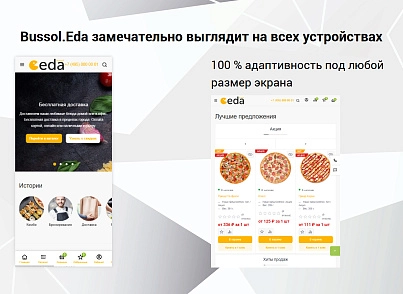 Bussol: Еда - интернет-магазин кафе и ресторанов быстрого питания (bussol.eda) - решение для Битрикс